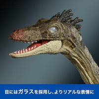 JDJ11 ジュラシック・ワールド ハモンドコレクション トロオドン