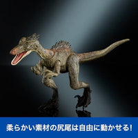 JDJ11 ジュラシック・ワールド ハモンドコレクション トロオドン