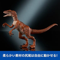 JDJ09 ジュラシック・ワールド ハモンドコレクション ヴェロキラプトル タイガー