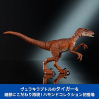JDJ09 ジュラシック・ワールド ハモンドコレクション ヴェロキラプトル タイガー