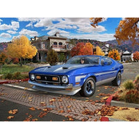 07699 ドイツレベル  1/25 71 マスタング Boss 351