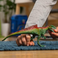 コンカヴェナトル