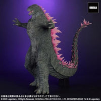 東宝大怪獣シリーズ GODZILLA (2024) EVOLVED Ver. FROM GODZILLA × KONG: THE NEW EMPIRE