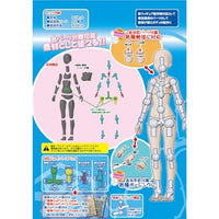 PPC-T134 関節技EX 1/12素材ちゃんS フレッシュ