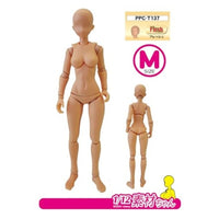 PPC-T137 関節技EX 1/12素材ちゃんM フレッシュ