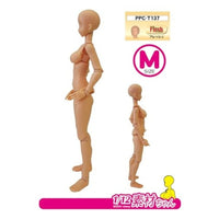 PPC-T137 関節技EX 1/12素材ちゃんM フレッシュ