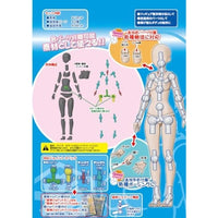 PPC-T138 関節技EX 1/12素材ちゃんM ライトフレッシュ