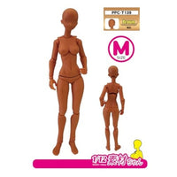 PPC-T139 関節技EX 1/12素材ちゃんM 褐色
