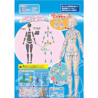 PPC-T141 関節技EX 1/12素材ちゃんL ライトフレッシュ