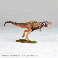 ARTPLA ティラノサウルス(幼体)