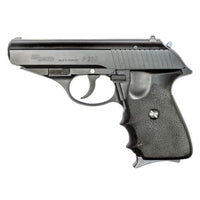 P230 ホーグカスタム ABS