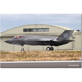 PF-81 プラッツ 1/144 航空自衛隊 F-35A ライトニングII 第301飛行隊 創設 50周年記念塗装機 2機セット