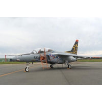 BLU-9 プラッツ 1/100 航空自衛隊 T-4 エアフェスタ浜松 空自70周年記念塗装機 2機セット