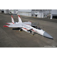 AC-96 プラッツ 1/72 航空自衛隊 F-15J イーグル 飛行開発実験団 2024 岐阜基地航空祭 航空自衛隊70周年記念塗装
