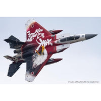 AC-98 プラッツ 1/72 航空自衛隊 F-15J イーグル 美ら島エアフェスタ2024 第204飛行隊 創立60周年記念塗装機
