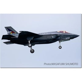 PF-85 プラッツ 1/144 航空自衛隊 F-35A ライトニングⅡ 第302飛行隊 50周年記念塗装機カラーマーキング仕様