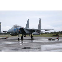 AC-108 プラッツ 1/72 航空自衛隊 F-15J イーグル 第306飛行隊 2025 小松基地航空祭 記念塗装機