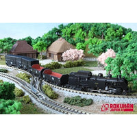 T025-1 (Z) トラ45000 2両セット