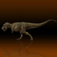 ティラノサウルス  タイプB   ミドル   ソフビキット復刻版