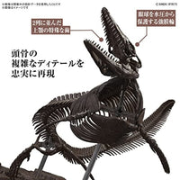 Imaginary Skeleton 1/32 モササウルス