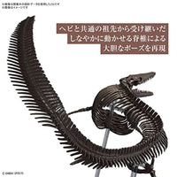 Imaginary Skeleton 1/32 モササウルス