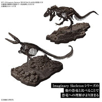Imaginary Skeleton 1/32 モササウルス