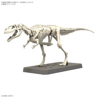 プラノサウルス 08 ギガノトサウルス