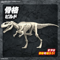 プラノサウルス 08 ギガノトサウルス