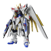250 HG マイティ―ストライクフリーダムガンダム