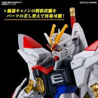 250 HG マイティ―ストライクフリーダムガンダム