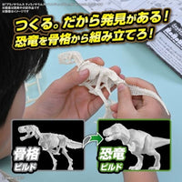 プラノサウルス 01 ティラノサウルス ペインティングVer.