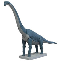10  ブラキオサウルス