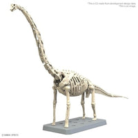 10  ブラキオサウルス
