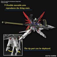 HG デスティニーガンダムSpecⅡ&ゼウスシルエット