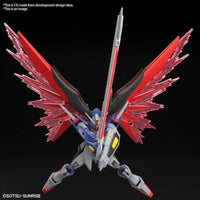 HG デスティニーガンダムSpecⅡ&ゼウスシルエット
