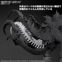 ゴジラ(2024)from「ゴジラxコング 新たなる帝国」