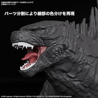 ゴジラ(2024)from「ゴジラxコング 新たなる帝国」