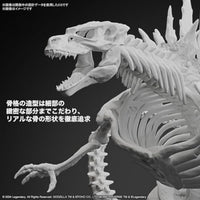 ゴジラ(2024)from「ゴジラxコング 新たなる帝国」