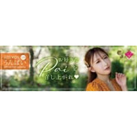 CJ121 うんぱい OFFICIAL CARD COLLECTION ~お好きなPaiを召し上がれ?~