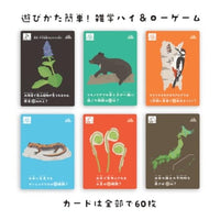 LineUP 5 山
