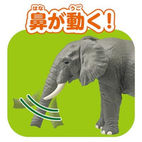 アニア AL-26 アフリカゾウ