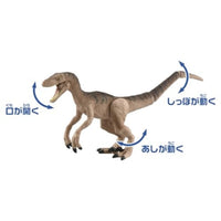 アニア ジュラシック・ワールド ファイナルバトルセット