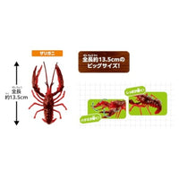 アニア 大自然の最強いきものセット