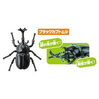 アニア AA-05 世界の昆虫王者セット