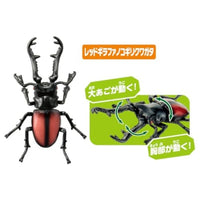 アニア AA-05 世界の昆虫王者セット