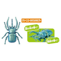 アニア AA-05 世界の昆虫王者セット