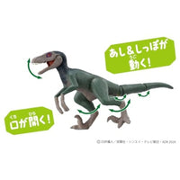 アニア 『映画クレヨンしんちゃん オラたちの恐竜日記』しんちゃんとヴェロキラプトル