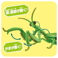 アニア AL-32 オオカマキリ