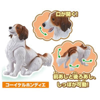 アニア わんにゃんにぎやかセット