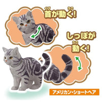アニア わんにゃんにぎやかセット